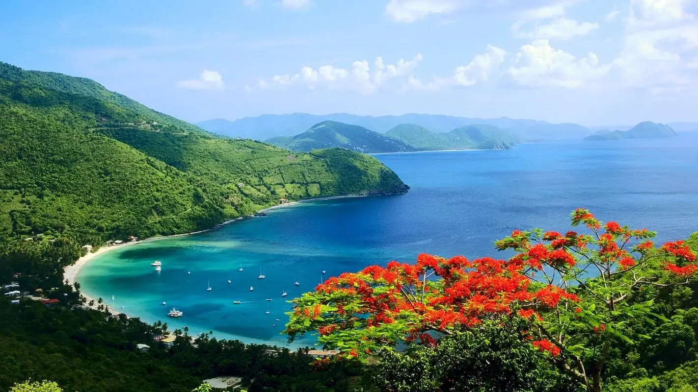智能化无人化环保